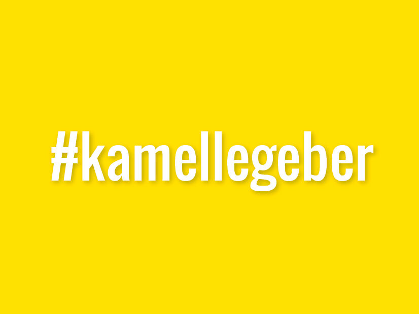 Gelber Hintergrund mit Hashtag Schriftzug kamellegeber auf gelben Hintergrund