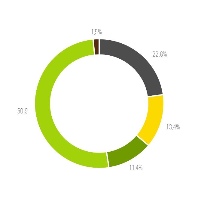 Kreisdiagram mit unterschiedlichen Prozentanteilen 