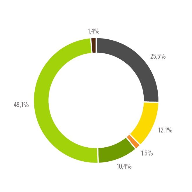 Kreisdiagram mit unterschiedlichen Prozentanteilen 