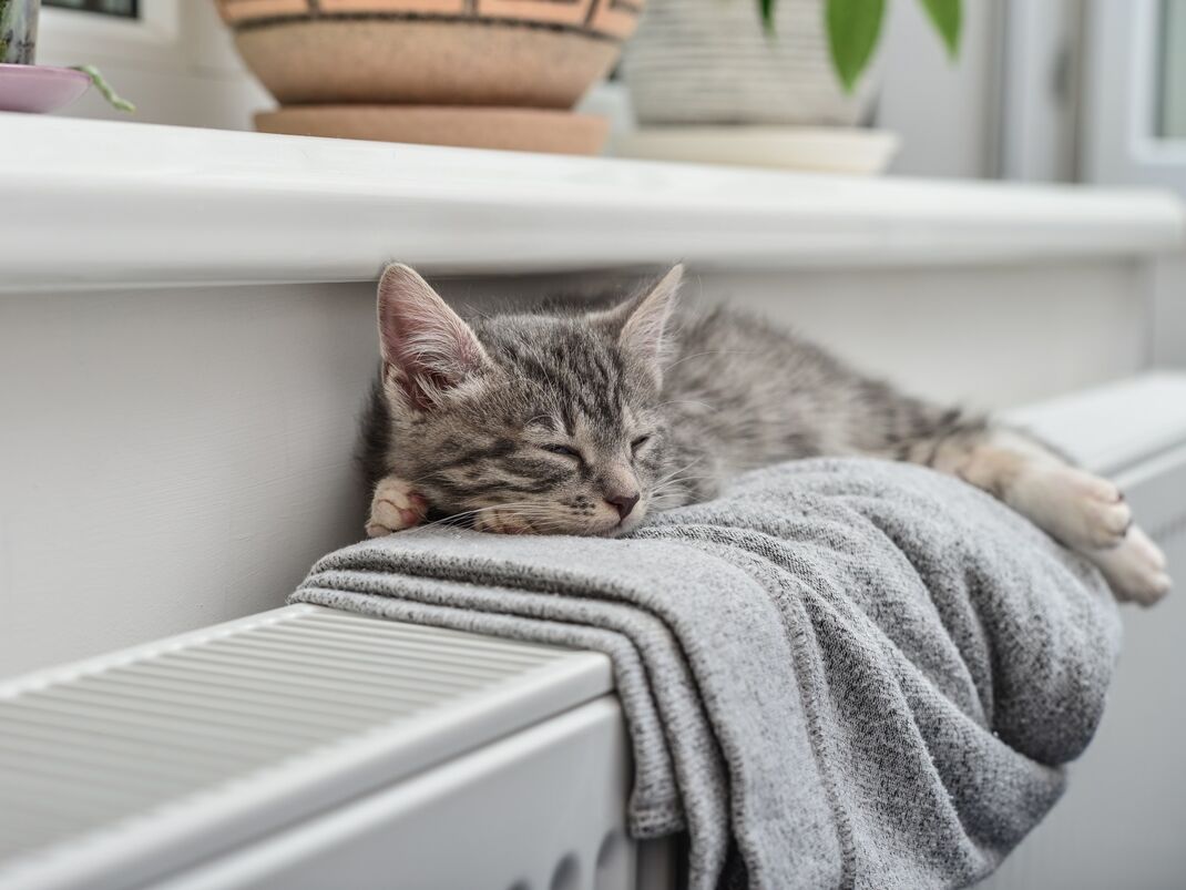 Katze liegt auf der Heizung und schläft 