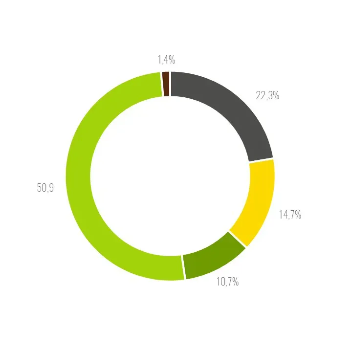 Kreisdiagramm mit unterschiedlichen Prozentanteilen 