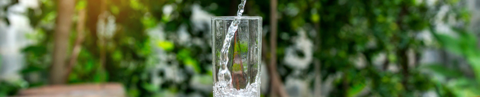 Glas, in das Wasser eingegossen wird, umgeben von grünen Pflanzen im Hintergrund.