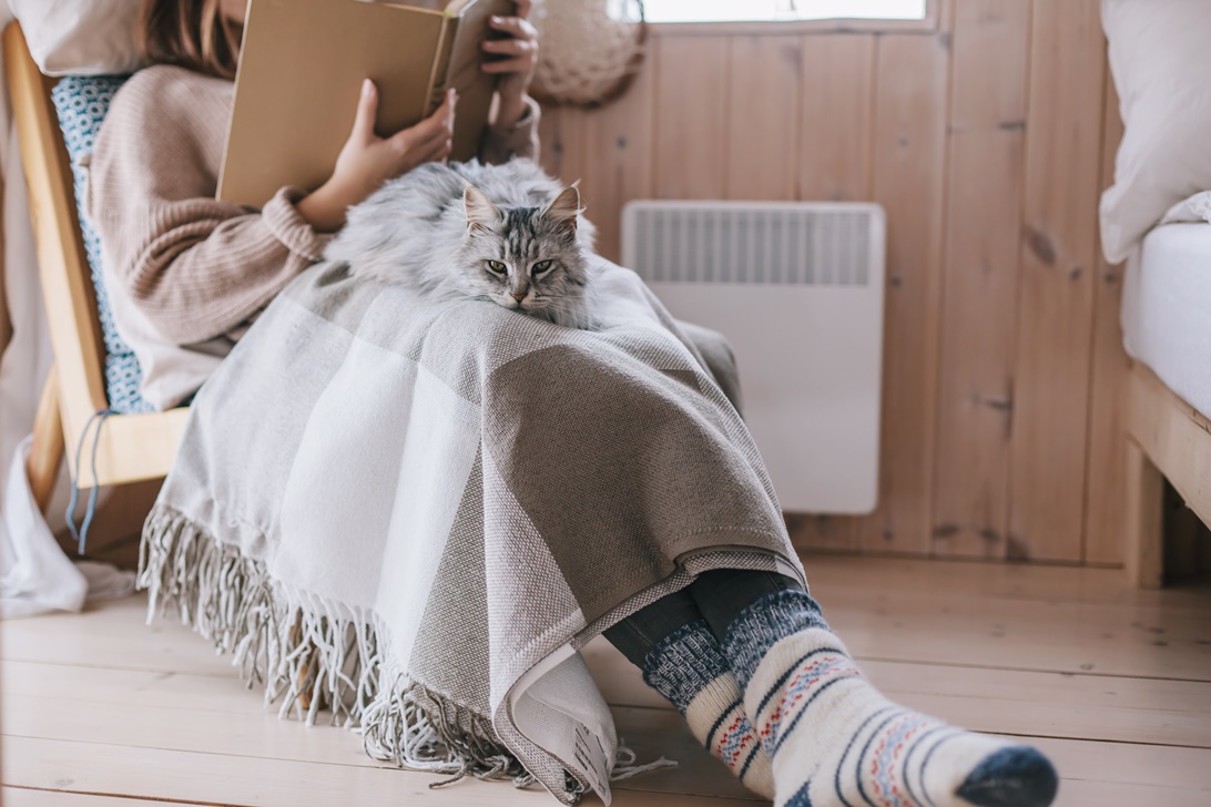 Person sitzt mit ihre Katze und liest ein Buch 