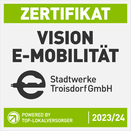 Siegel Vision E-Mobilität