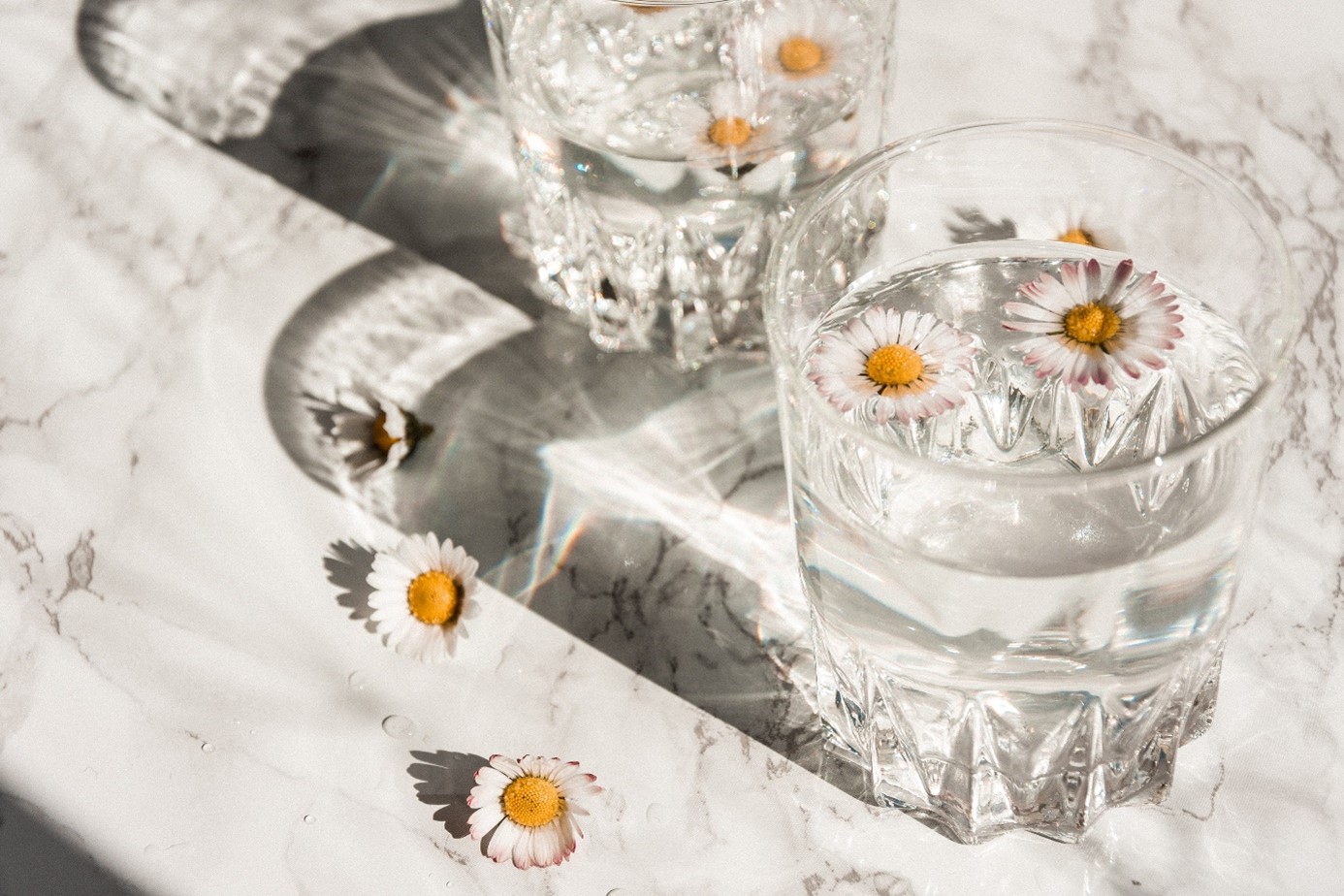 Wasserglas mit Gänseblümchen